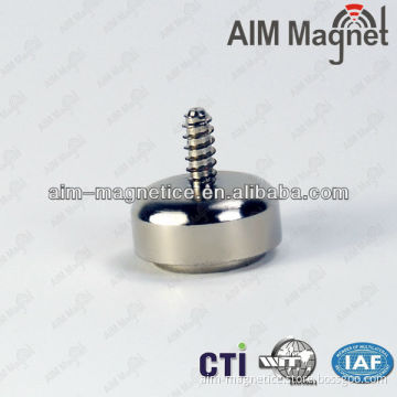 Strong Neodymium Cabinet Door Magnets with Screw